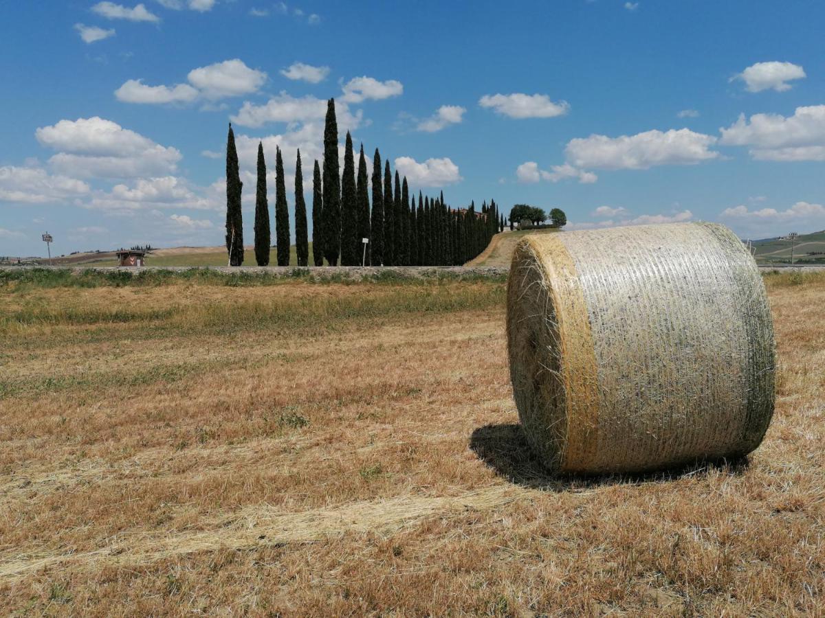 באניו ויניוני Agriturismo La Poderina מראה חיצוני תמונה