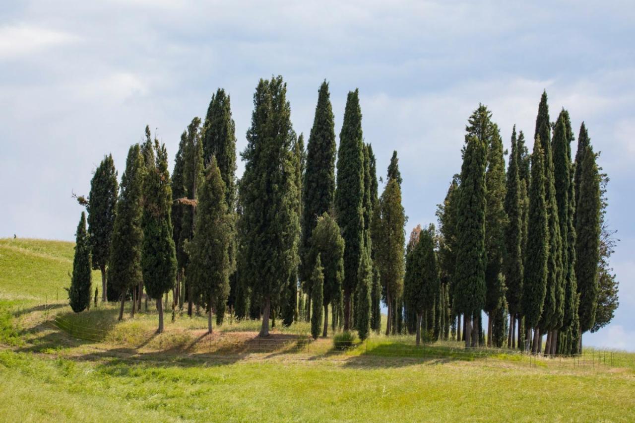באניו ויניוני Agriturismo La Poderina מראה חיצוני תמונה