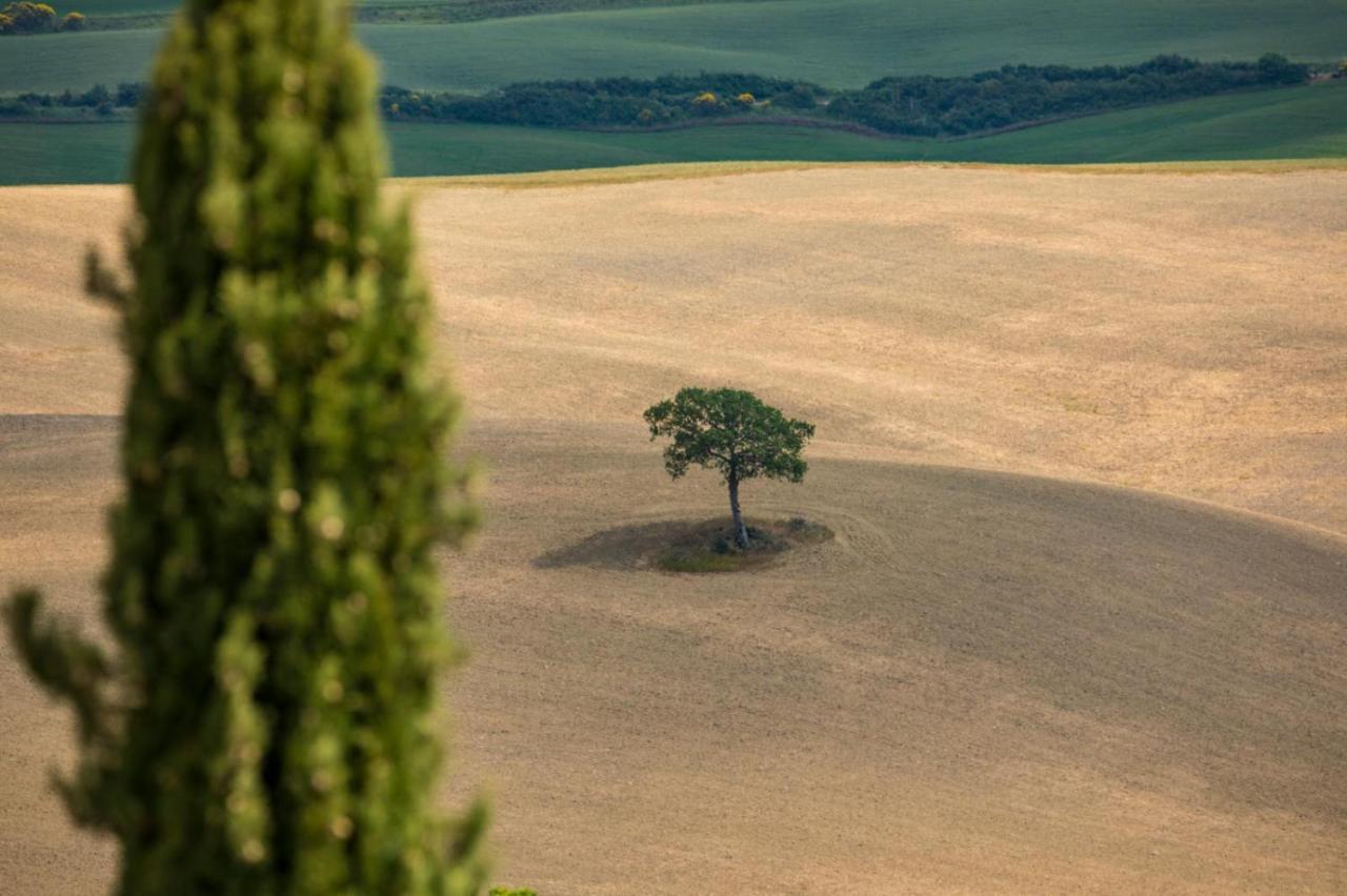 באניו ויניוני Agriturismo La Poderina מראה חיצוני תמונה