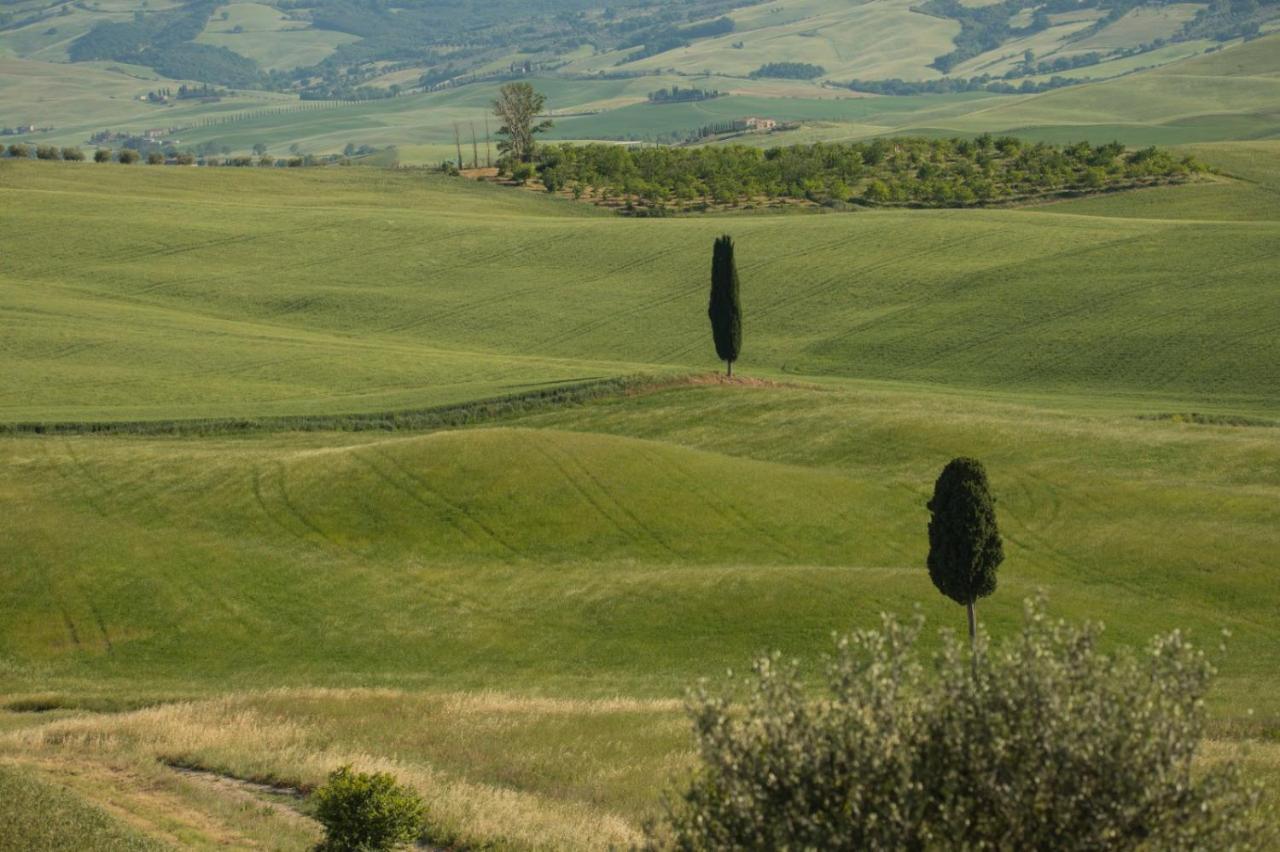 באניו ויניוני Agriturismo La Poderina מראה חיצוני תמונה